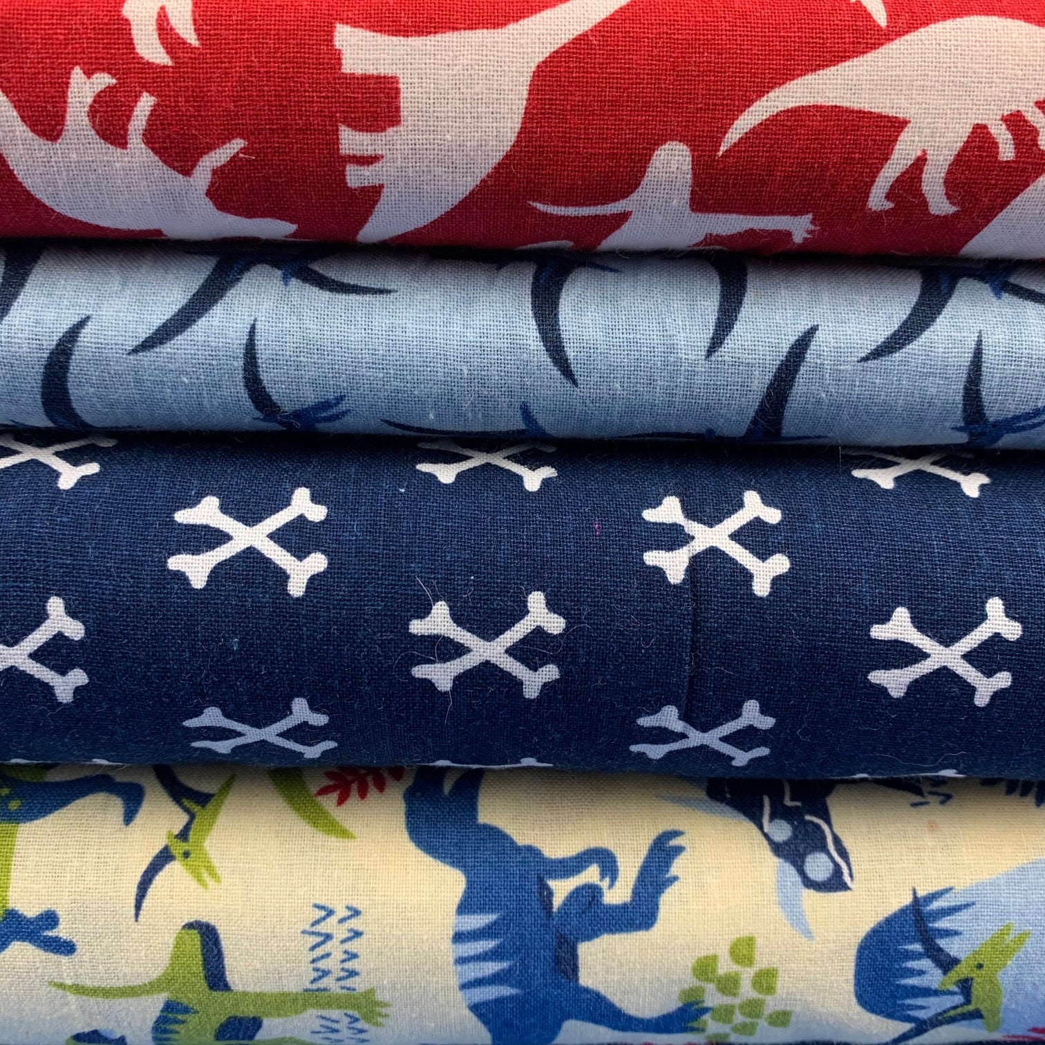 Birch Dinosaur Adventures Fabric Collection